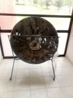 Mauricio Gonzalez-Aviles