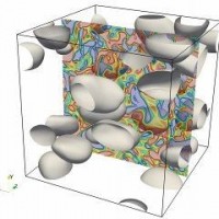 Nestor Balcazar-Arciniega