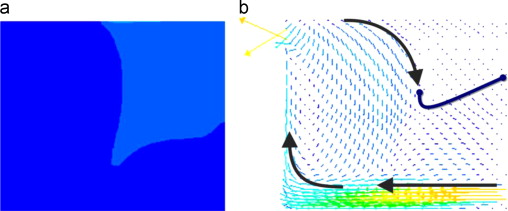 Central longitudinal section (z=0.75m) of the three – dimensional space ...