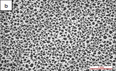 Review 950121520459 5169 Figura 3b.jpg