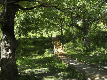 Full-size image (70 K)