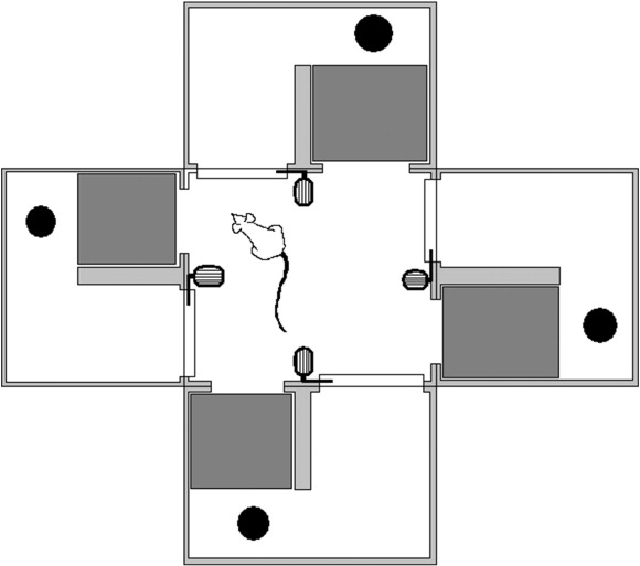 Scheme of the modular device used for the defensive behaviour study of the ...