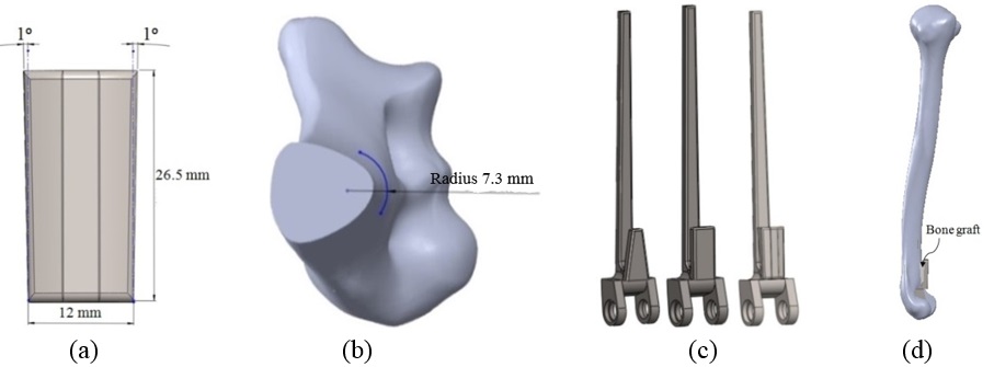Review 392361619556 8471 15.jpg