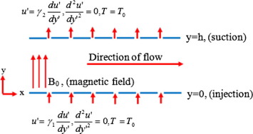 The geometry of the model.