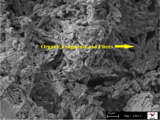 Fig. 9