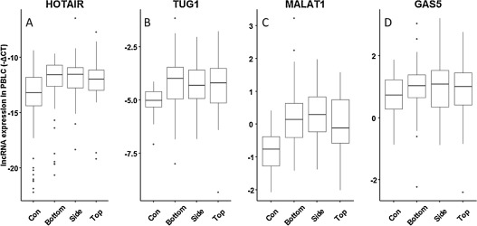 Association between PAHs exposure and lncRNA expression in PBLCs of the ...