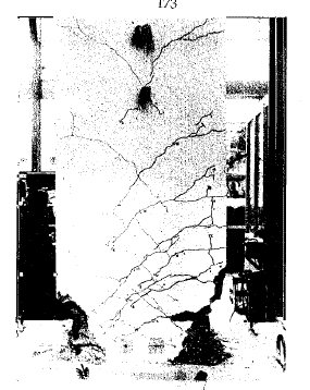 Draft Samper 511491986-image150.png