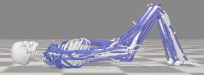 Draft Zhou 963570051-image10-c.png