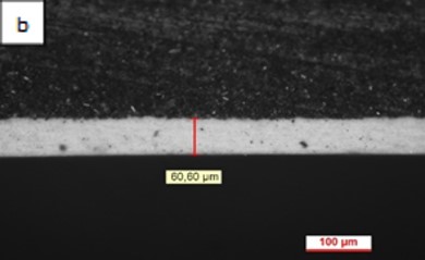 Review 950121520459 9218 Figura 2b.jpg