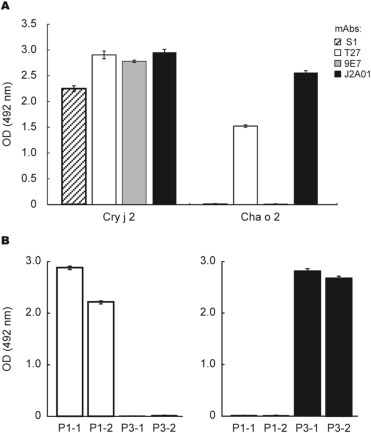 Reactivity of Cry j 2 mAbs. Cry j 2 and Cha o 2 were immobilized on a microplate ...