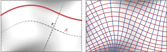 (Left) customized input source for surface tessellation (right) curve network ...