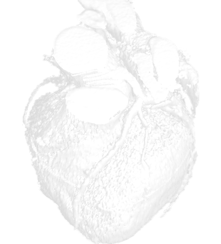 Draft Samper 526155048-image3.png