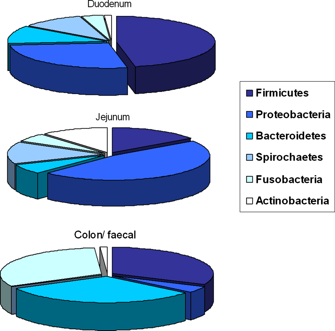 Figure 1.