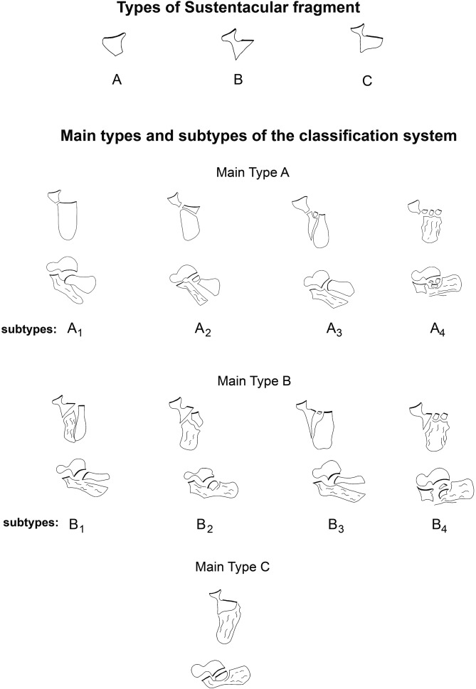 Fig. 1