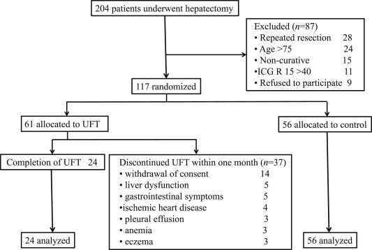 Flow chart of patient allocation.