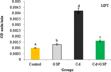 Effects of GSP treatment on Cd-induced changes in mitochondrial permeability ...