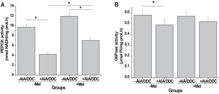 Gluconeogenic enzyme activities: Effect of melatonin pre-treatment on AIA/DDC ...
