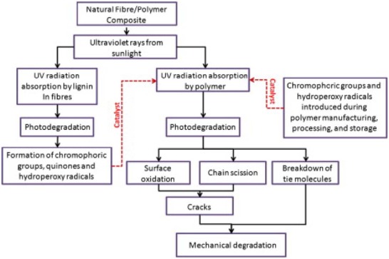 UV degradation of natural fiber/polymer composite and its components [24].