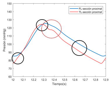 Draft Samper 411837410 6990 Grafica21.png
