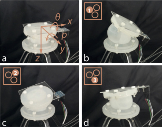 Kinematics of the actuator. (a) Deflated actuator. (b), (c), and, (d) show the ...