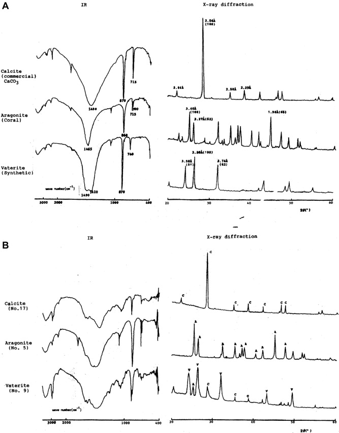 Infrared absorption spectroscopy, X-ray diffractometry of standard and sample ...
