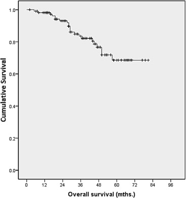 Kaplan–Meier analysis on overall survival.