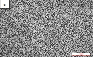 Review 950121520459 7209 Figura 3c.jpg