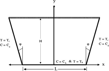 Studied model for the problem.