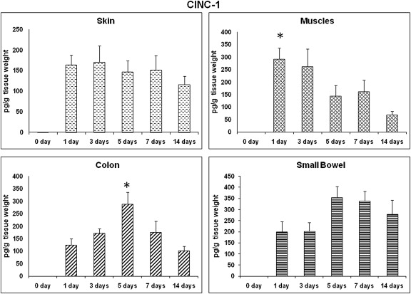 CINC-1: time course of expression. CINC-1 profile in different wound sites over ...