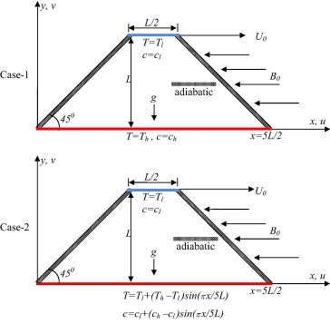 Schematic diagram for the problem with boundary conditions.