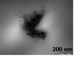 Draft Compuestos 471213673-image16-c.png