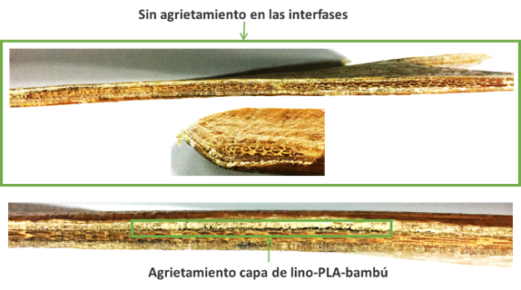 Draft Compuestos 748327397-image13.png