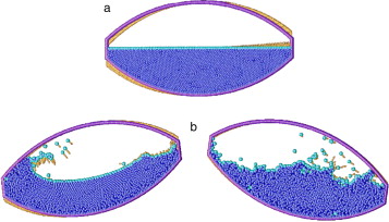 Movimiento de un líquido sobre un recipiente oscilante. (a) Distribución ...
