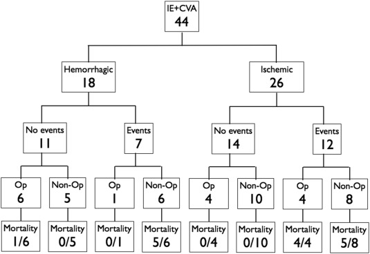 60-day outcome of patients grouped by CVA and adverse events. Adverse events are ...