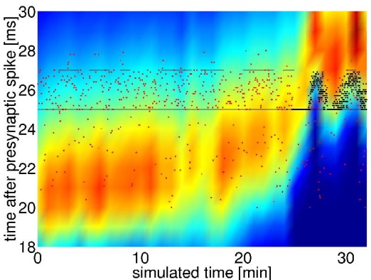 Draft Samper 526155048-image48.jpeg