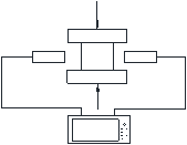 Wang et al 2021c 4206 Fig2.png