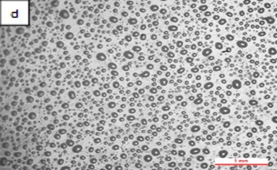 Review 950121520459 1211 Figura 5d.jpg