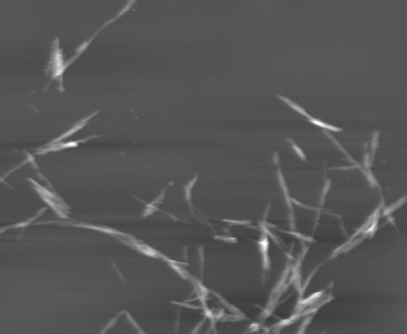 Arbelaiz et al 2019a-image7-c.png