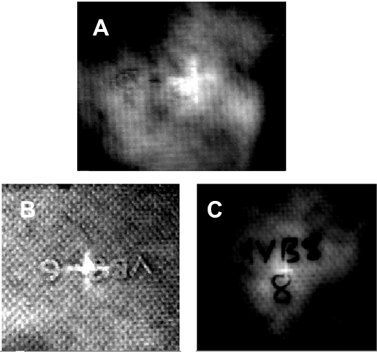 Draft Compuestos 652091739-image13.png