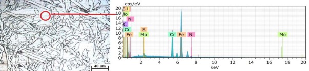EDS study of the welded samples.