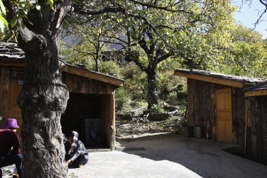 Full-size image (57 K)