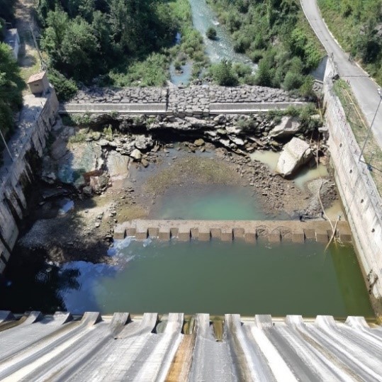 Salazar San Mauro 2021a 9767 Fig 01.jpg