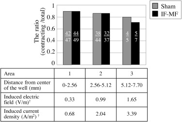 The ratio of the number of contracting cell aggregates to the total number of ...