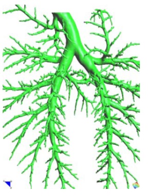 Draft Samper 526155048-image61.jpeg