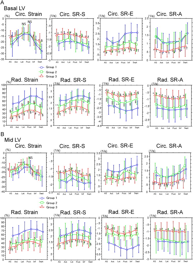 Circumferential and radial strain/strain rate on basal (A), mid (B), and apical ...