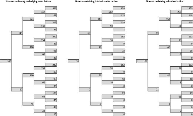 Real option valuation lattice (non-recombining lattice, increasing volatility).