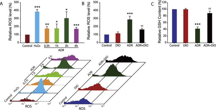 DIO inhibits ADR-induced oxidative stress.(A) Flow cytometric evaluation of ...