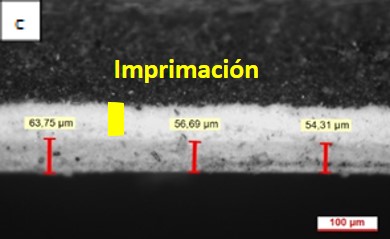 Review 950121520459 6231 Figura 2c.jpg