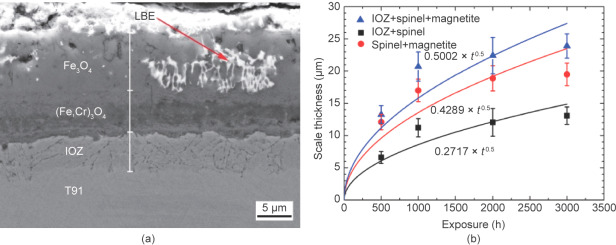 (a) Cross-section appearance of T91 steel after a corrosion test for 5000 h; (b) ...