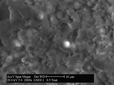 Scanning electron microscopic image of the ball-bearing effect of FA particles.